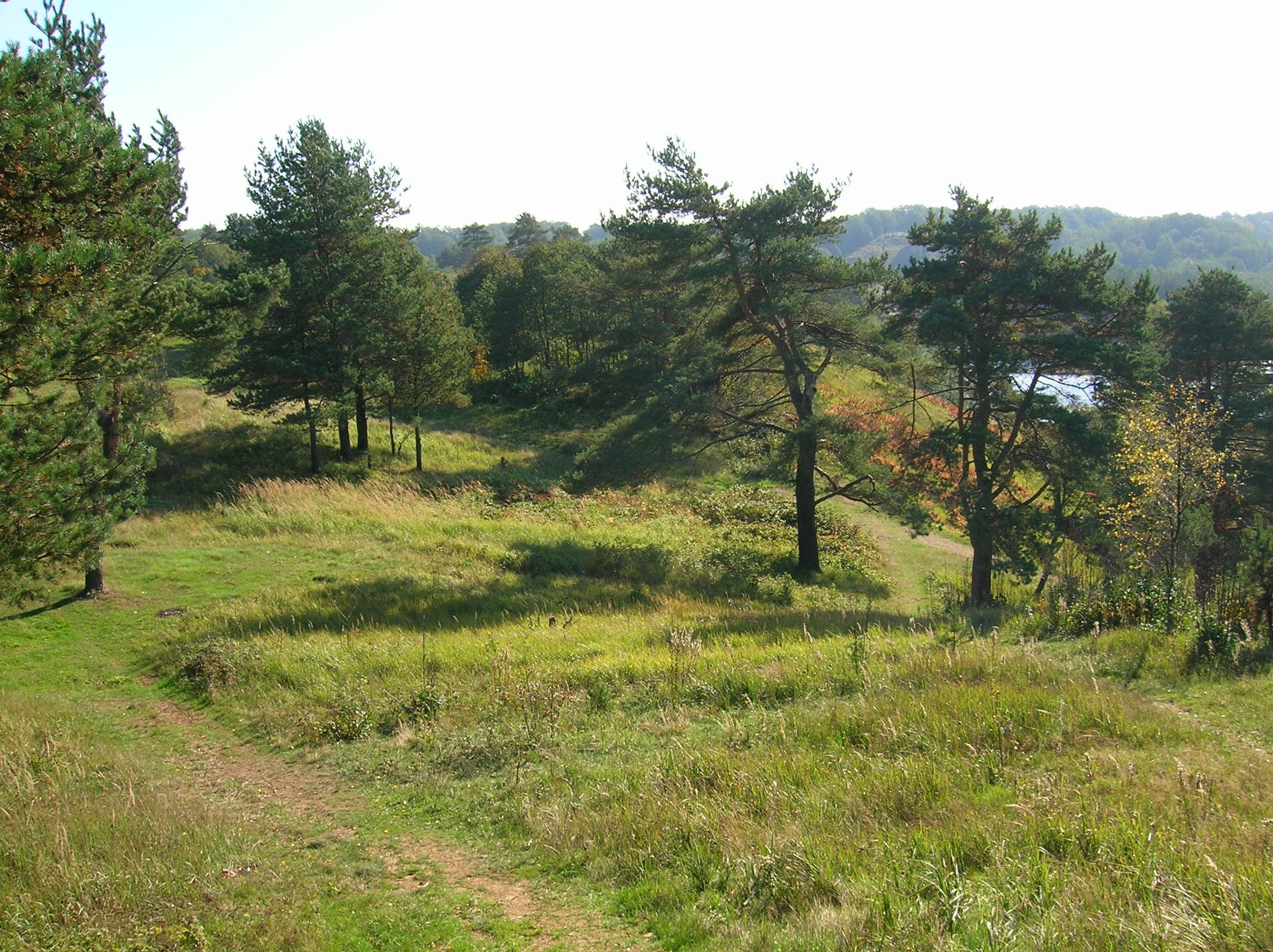В Петербурге эксперты обсудили ключевые риски изъятия недвижимости в границах лесного фонда