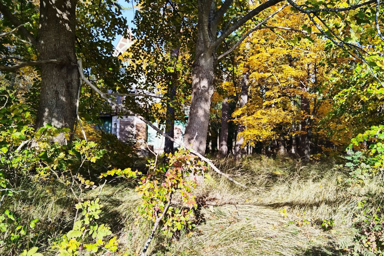 Дом отдыха «Зеленогорский» планируют превратить в гостинично-оздоровительный комплекс с сыроварней и пекарней