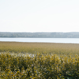 КП «Крылья Подгорного». Фото галереи: MG Development