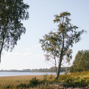 КП «Крылья Подгорного». Фото галереи: MG Development