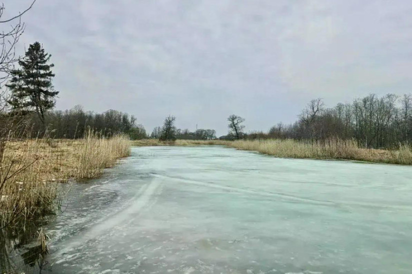 Суйда Суйда