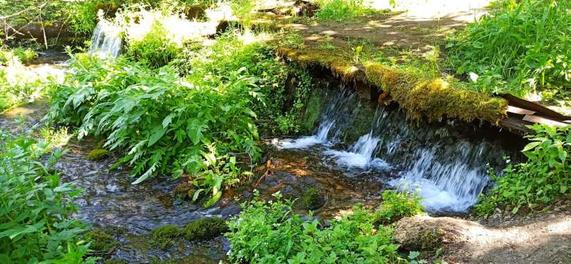 Водопадики. Фото: Ольга Семенова