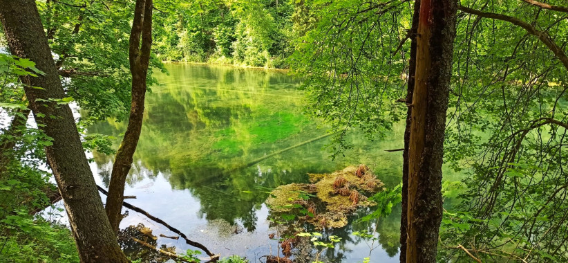 Среднее озеро. Фото: Ольга Семенова