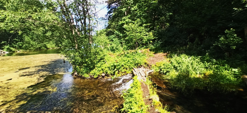 Нижнее озеро. Фото: Ольга Семенова