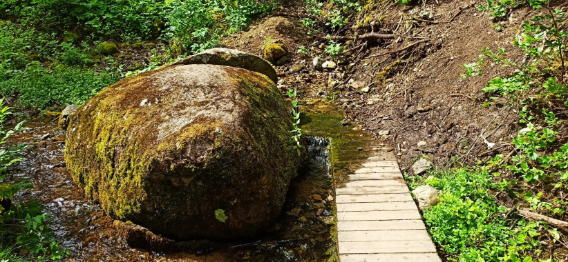 Радоновый родник. Фото: Ольга Семенова