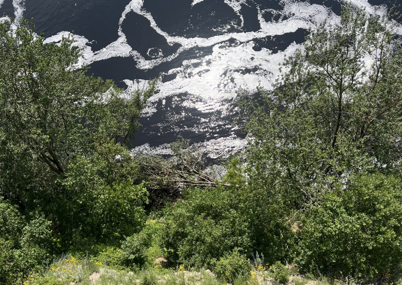 Ленобласть