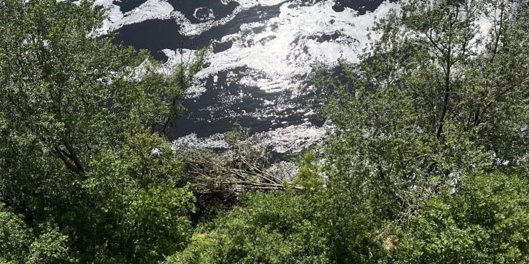 Ленобласть