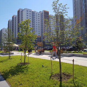 Санкт петербург бульвар десантника вадима чугунова 8. Жк новогорелово. Десантника вадима чугунова 8 к 1. Новогорелово бульвар десантника вадима чугунова 10/6. Новогорелово бульвар десантника.