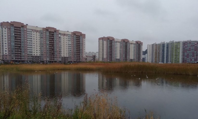 Дальневосточный-Коллонтай. Фото: NSP.ru