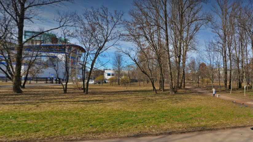 В Петербурге хотят застроить очередную зеленую зону