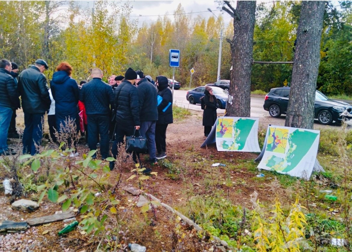 В Токсово 56 га из участка, отведенного под спорткомплекс, предлагают  застроить коттеджами