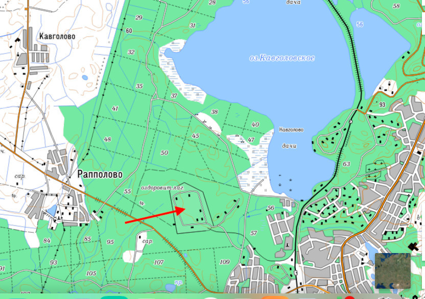 Почти полтысячи подписей собрали активисты под обращением против ...
